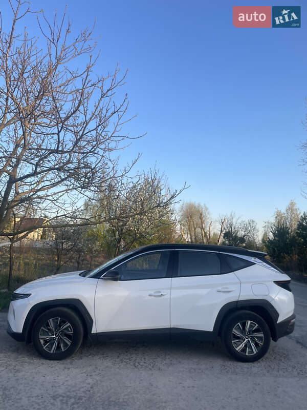 Внедорожник / Кроссовер Hyundai Tucson 2023 в Киеве фото 14 Внедорожник / Кроссовер Hyundai Tucson 2023 в Киеве