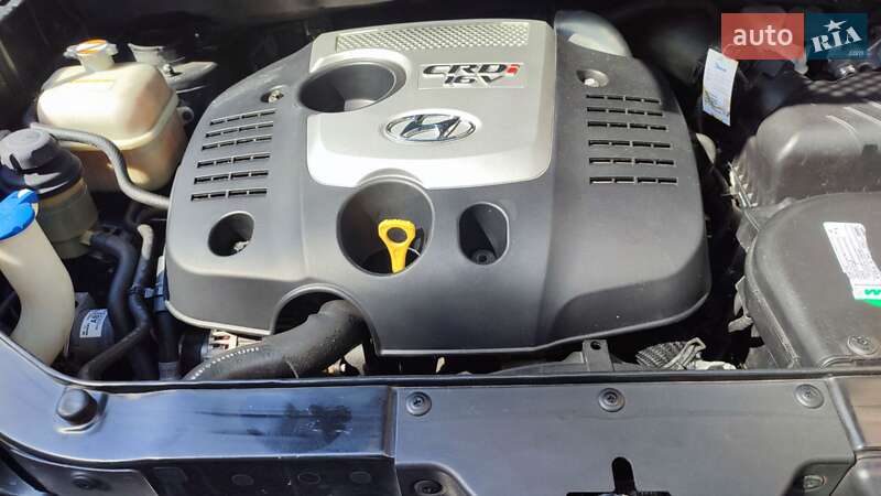Внедорожник / Кроссовер Hyundai Tucson 2009 в Хмельницком фото 4 Внедорожник / Кроссовер Hyundai Tucson 2009 в Хмельницком