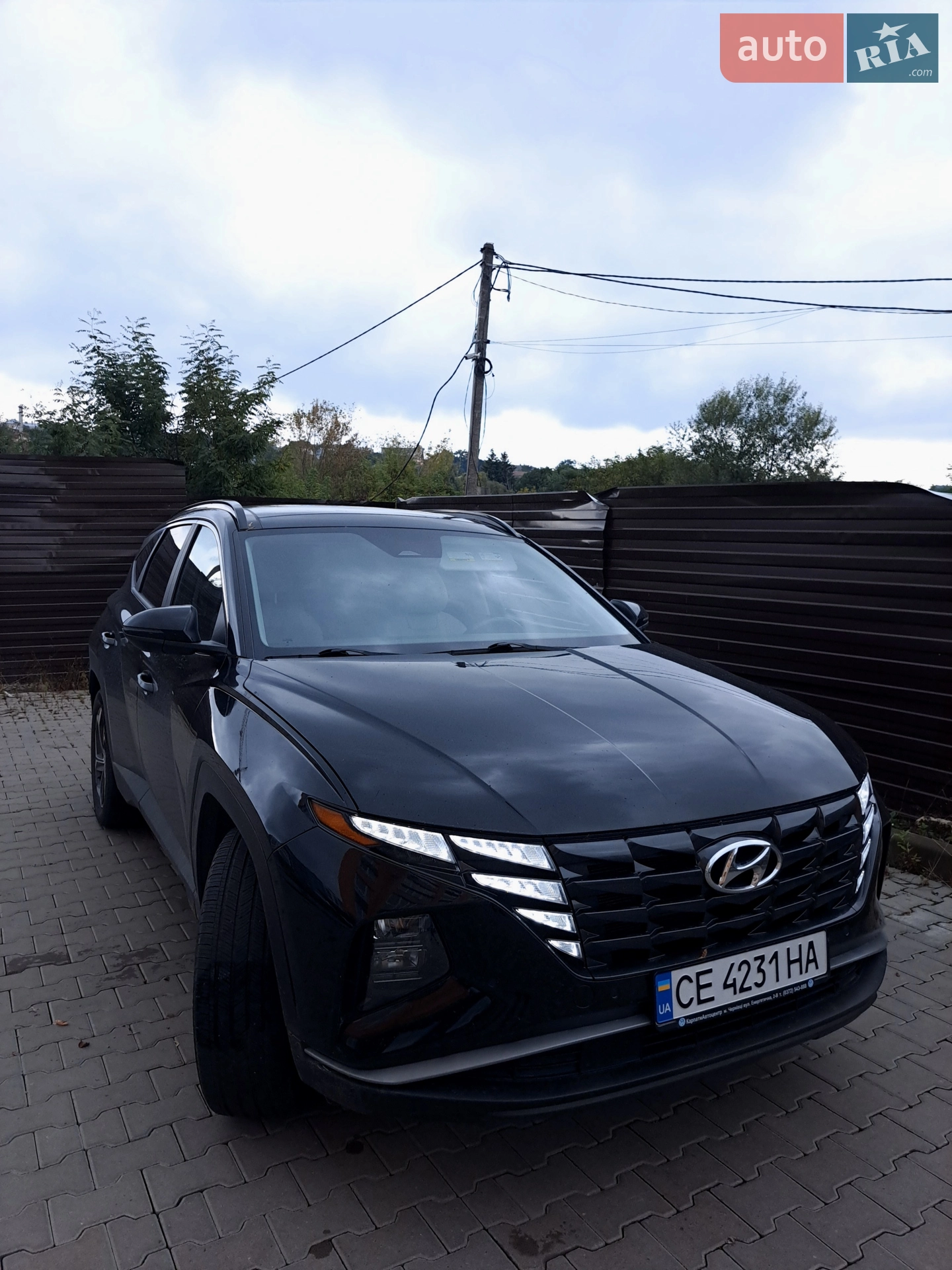 2024 Hyundai Tucson - фото 1