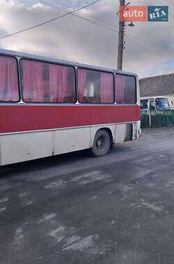Приміський автобус Ikarus 211 1988 в Старокостянтинові