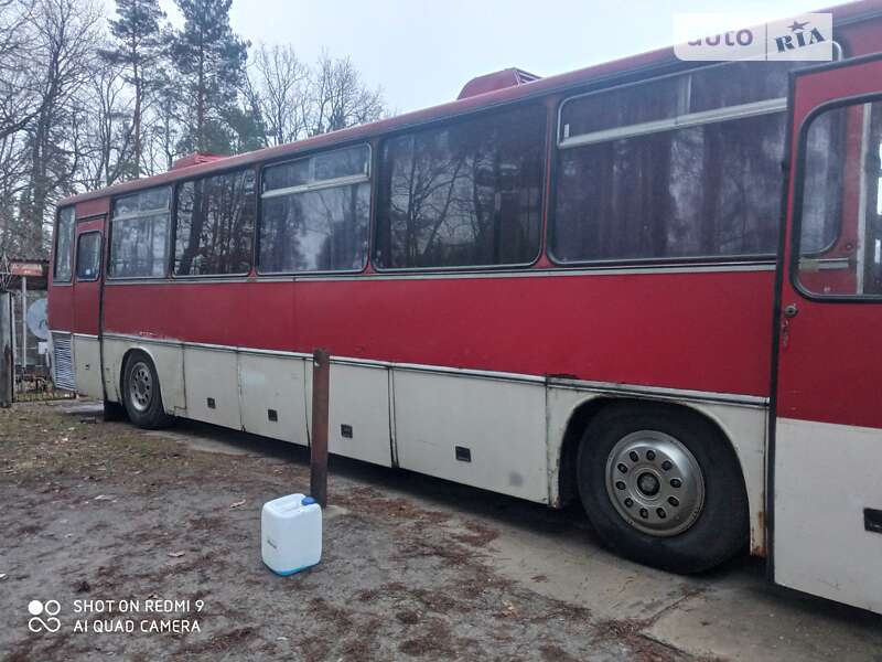 Туристичний / Міжміський автобус Ikarus 250 1979 в Радомишлі