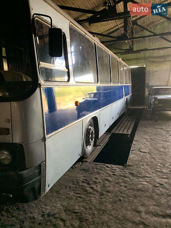 Туристический / Междугородний автобус Ikarus 250 1989 в Кривом Роге