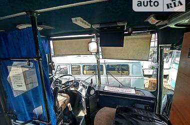 Туристичний / Міжміський автобус Ikarus 255 1988 в 
