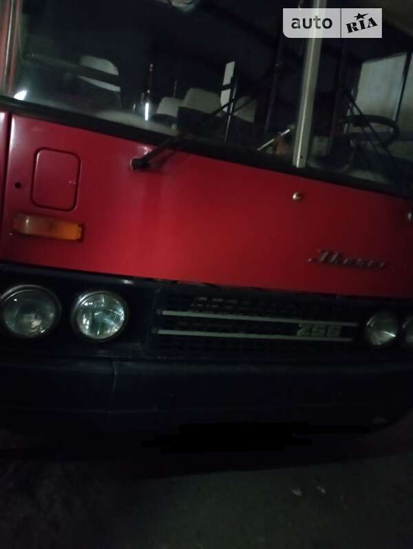 Туристический / Междугородний автобус Ikarus 256 1990 в Ворохте
