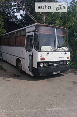 Туристический / Междугородний автобус Ikarus 256 1987 в Одессе