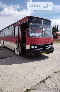 Приміський автобус Ikarus 256 1986 в Миколаєві