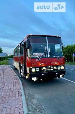Туристичний / Міжміський автобус Ikarus 256 1989 в Львові