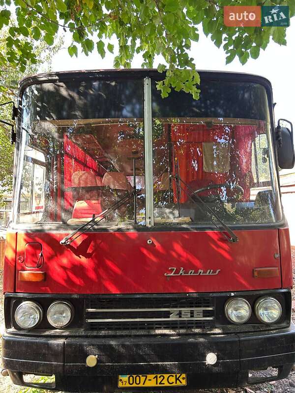 Туристичний / Міжміський автобус Ikarus 256 1987 в Градизьку