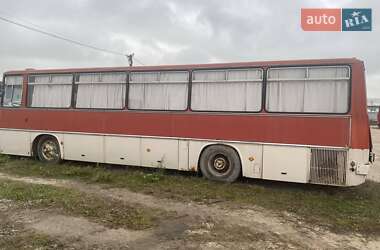 Туристический / Междугородний автобус Ikarus 256 1990 в Тернополе