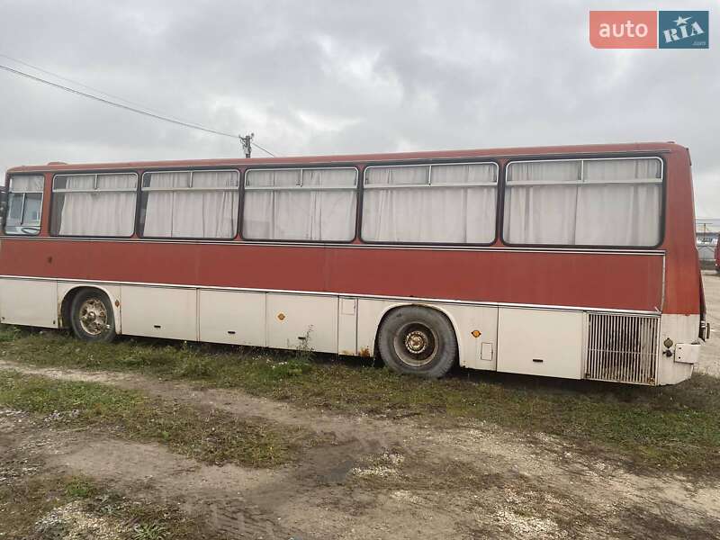 Туристический / Междугородний автобус Ikarus 256 1990 в Тернополе
