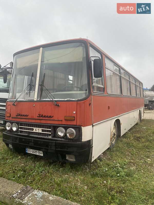 Туристический / Междугородний автобус Ikarus 256 1990 в Тернополе