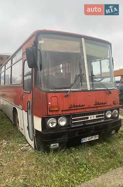 Туристический / Междугородний автобус Ikarus 256 1990 в Тернополе