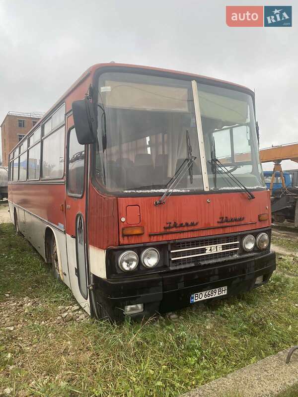 Туристический / Междугородний автобус Ikarus 256 1990 в Тернополе