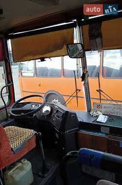 Туристический / Междугородний автобус Ikarus 256 1989 в Львове