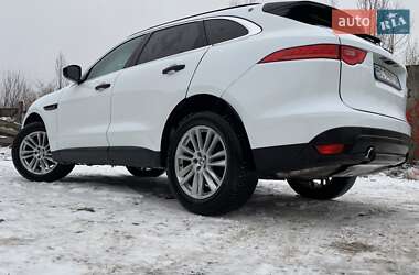 Внедорожник / Кроссовер Jaguar F-Pace 2016 в Киеве фото 53 Внедорожник / Кроссовер Jaguar F-Pace 2016 в Киеве