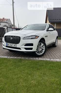 Позашляховик / Кросовер Jaguar F-Pace 2019 в Ковелі