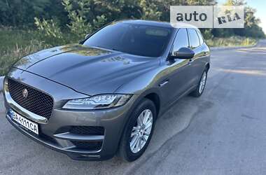 Позашляховик / Кросовер Jaguar F-Pace 2017 в Олександрівці