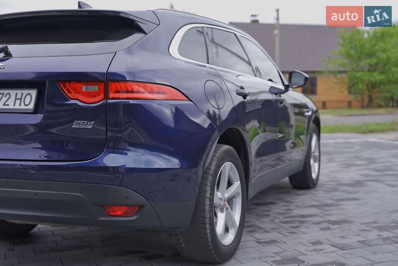 Позашляховик / Кросовер Jaguar F-Pace 2016 в Любомлі