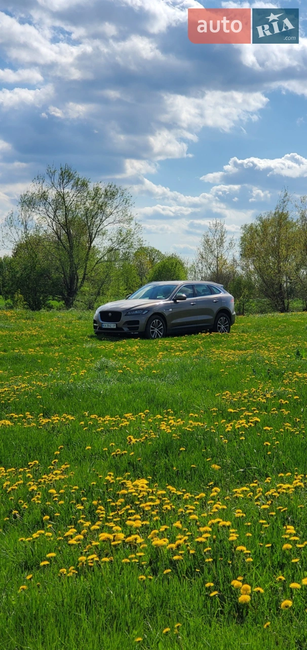 2017 Jaguar F-Pace - мініатюра 13