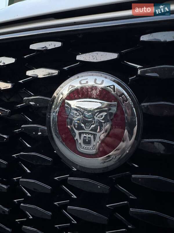 Внедорожник / Кроссовер Jaguar F-Pace 2021 в Житомире