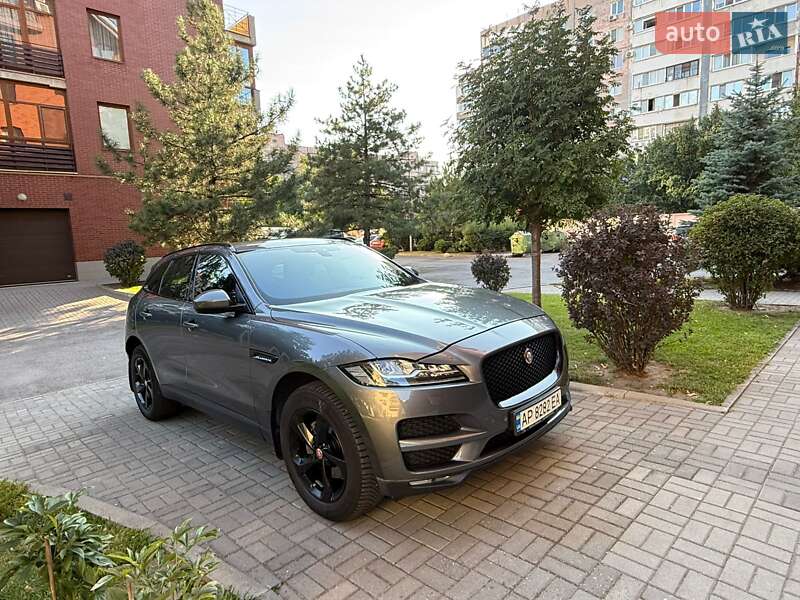 Внедорожник / Кроссовер Jaguar F-Pace 2016 в Запорожье