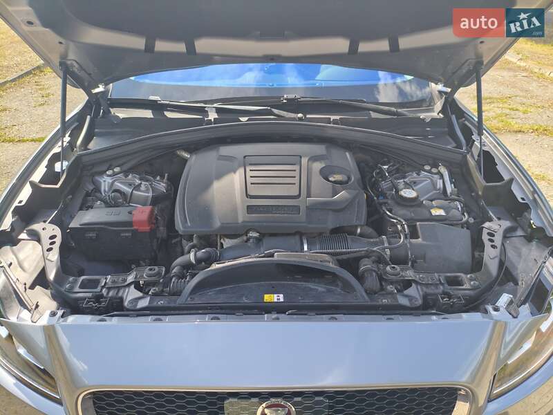 Внедорожник / Кроссовер Jaguar F-Pace 2019 в Чугуеве фото 17 Внедорожник / Кроссовер Jaguar F-Pace 2019 в Чугуеве