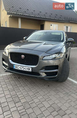 Внедорожник / Кроссовер Jaguar F-Pace 2016 в Ковеле