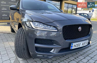 Внедорожник / Кроссовер Jaguar F-Pace 2016 в 