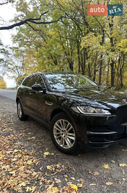 Внедорожник / Кроссовер Jaguar F-Pace 2019 в  фото 3 Внедорожник / Кроссовер Jaguar F-Pace 2019 в