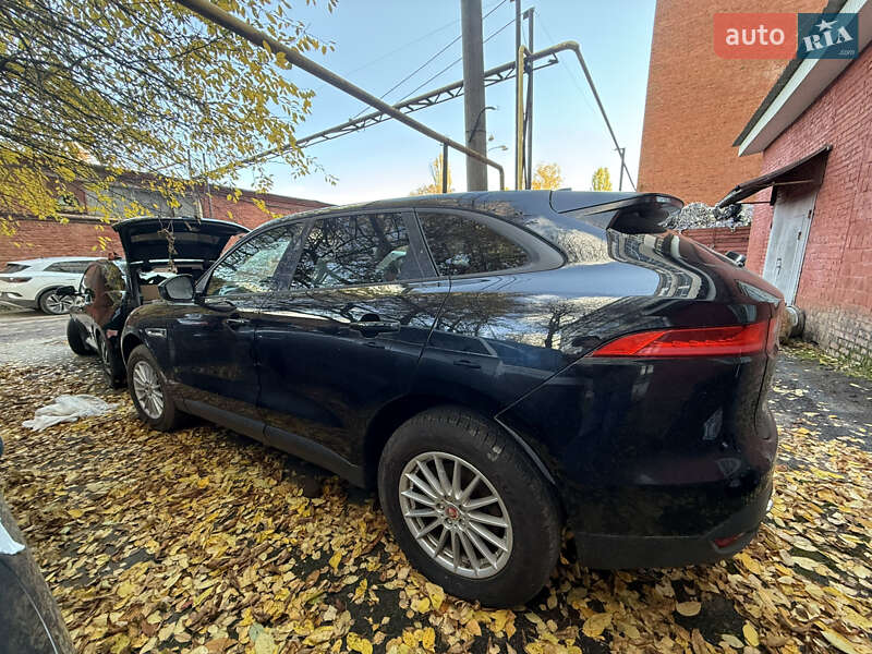 Внедорожник / Кроссовер Jaguar F-Pace 2016 в Хмельницком фото 18 Внедорожник / Кроссовер Jaguar F-Pace 2016 в Хмельницком