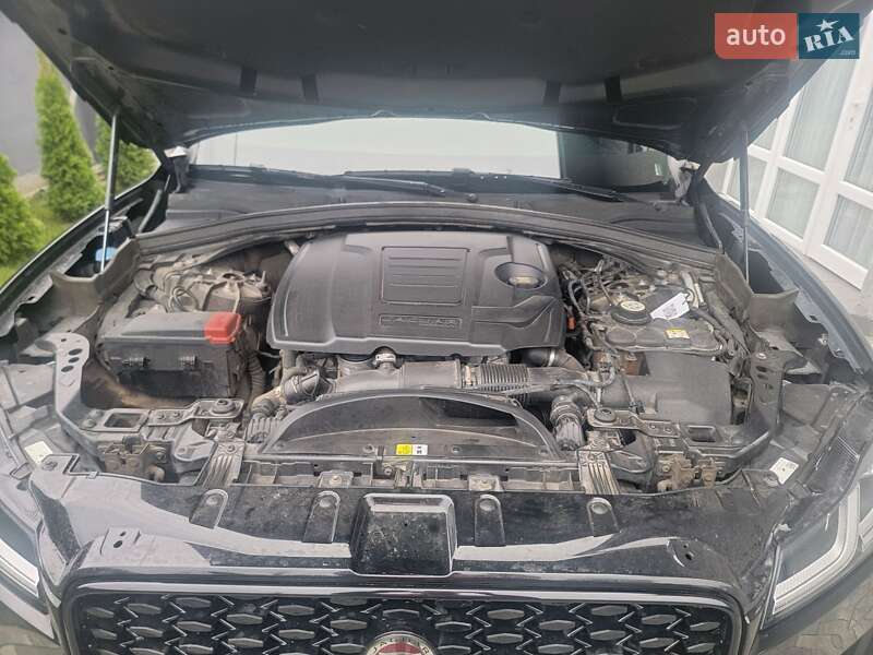 Внедорожник / Кроссовер Jaguar F-Pace 2021 в Борисполе фото 28 Внедорожник / Кроссовер Jaguar F-Pace 2021 в Борисполе