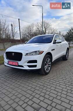 Позашляховик / Кросовер Jaguar F-Pace 2018 в Володимирі