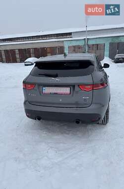 Внедорожник / Кроссовер Jaguar F-Pace 2016 в Киеве