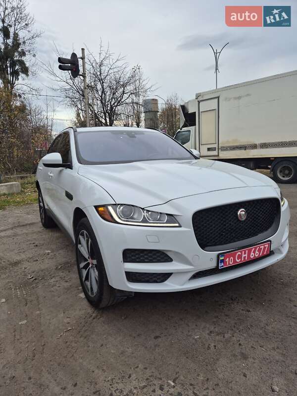2018 Jaguar F-Pace, VIN SADCK2FN9JA255073:plate — фото 1 (autoria)