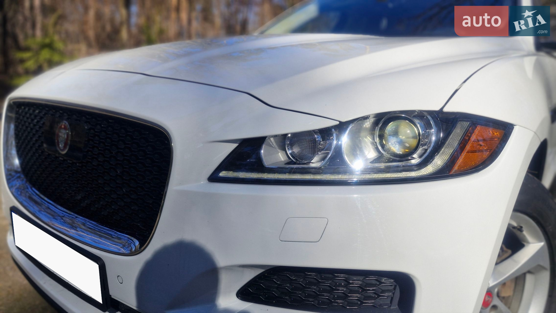 2019 Jaguar F-Pace - фото 1