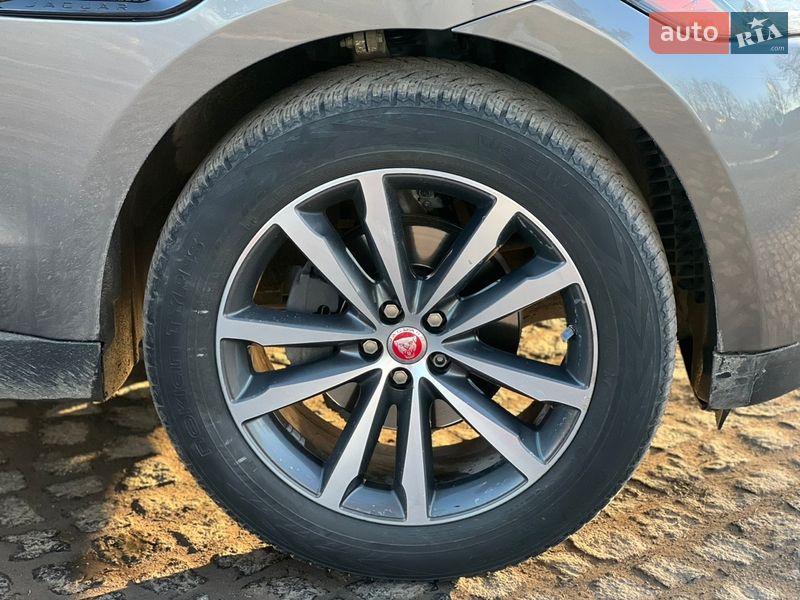 Внедорожник / Кроссовер Jaguar F-Pace 2016 в Староконстантинове
