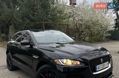 Внедорожник / Кроссовер Jaguar F-Pace 2016 в Хусте
