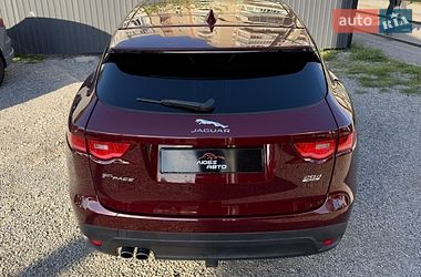 Внедорожник / Кроссовер Jaguar F-Pace 2016 в Ивано-Франковске