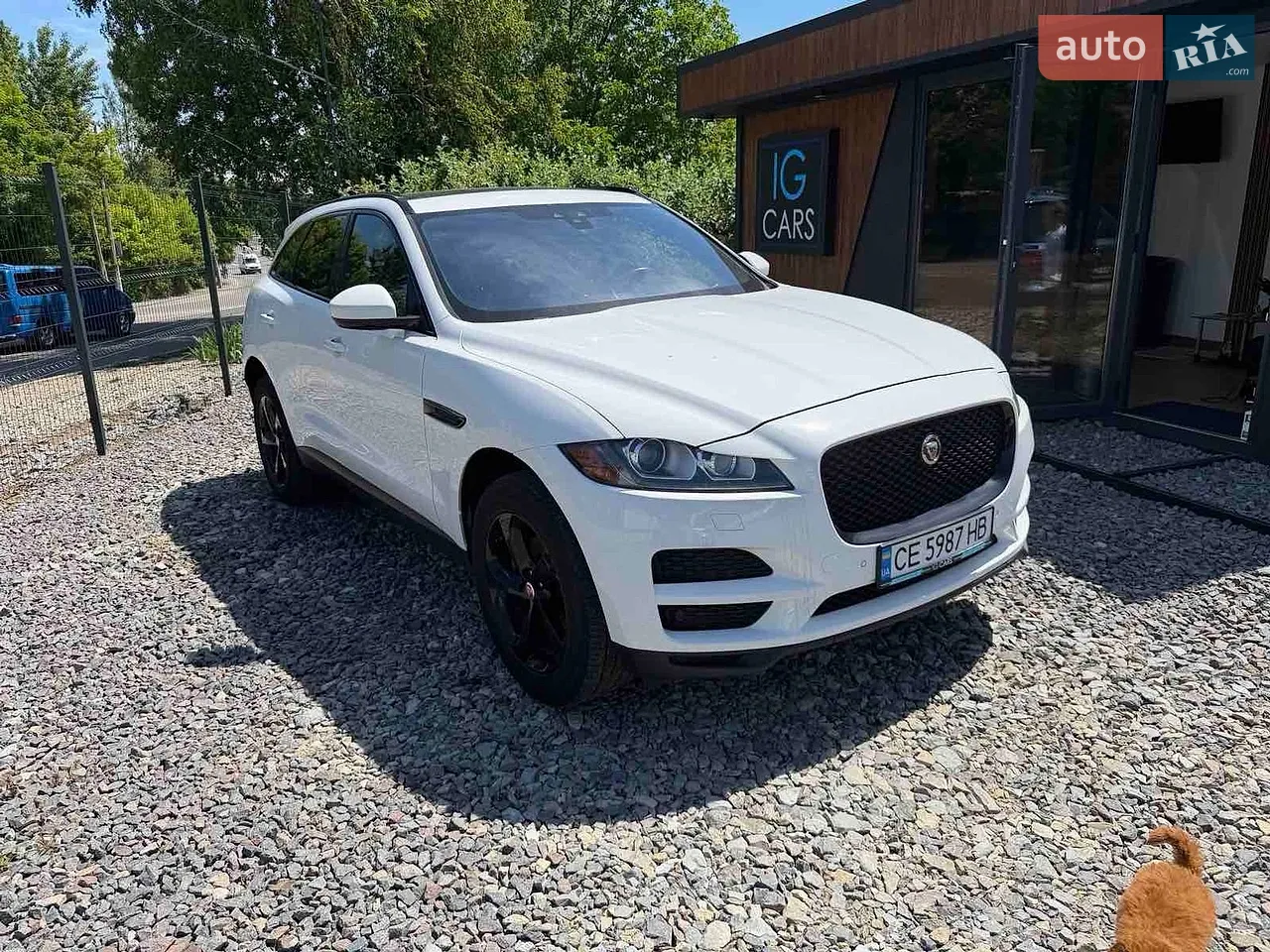 2016 Jaguar F-Pace - мініатюра 41