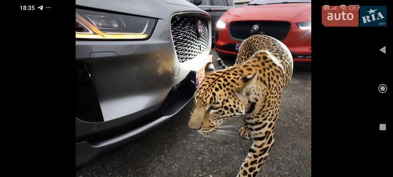 Позашляховик / Кросовер Jaguar I-Pace 2021 в Києві