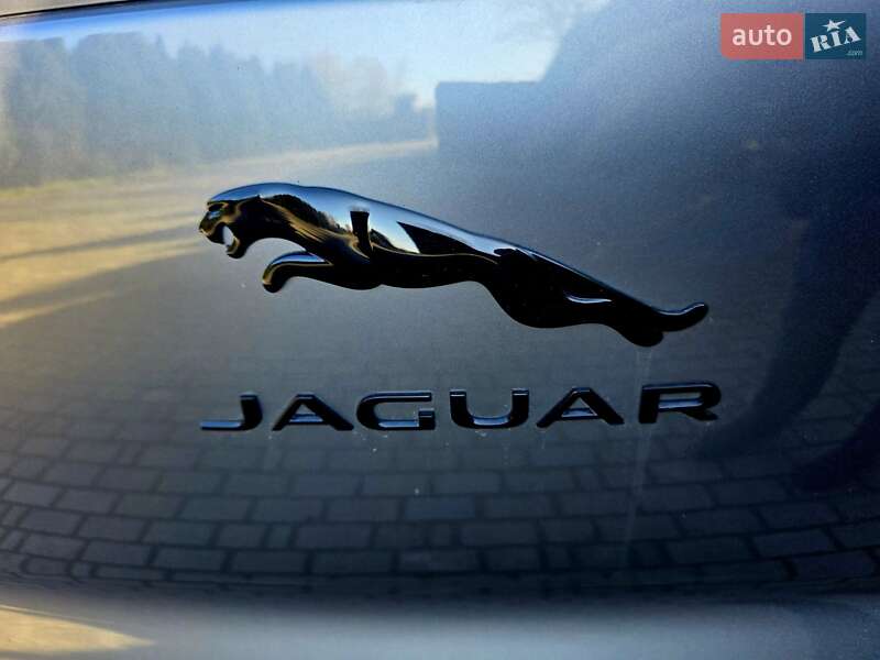 Внедорожник / Кроссовер Jaguar I-Pace 2020 в Самборе фото 18 Внедорожник / Кроссовер Jaguar I-Pace 2020 в Самборе