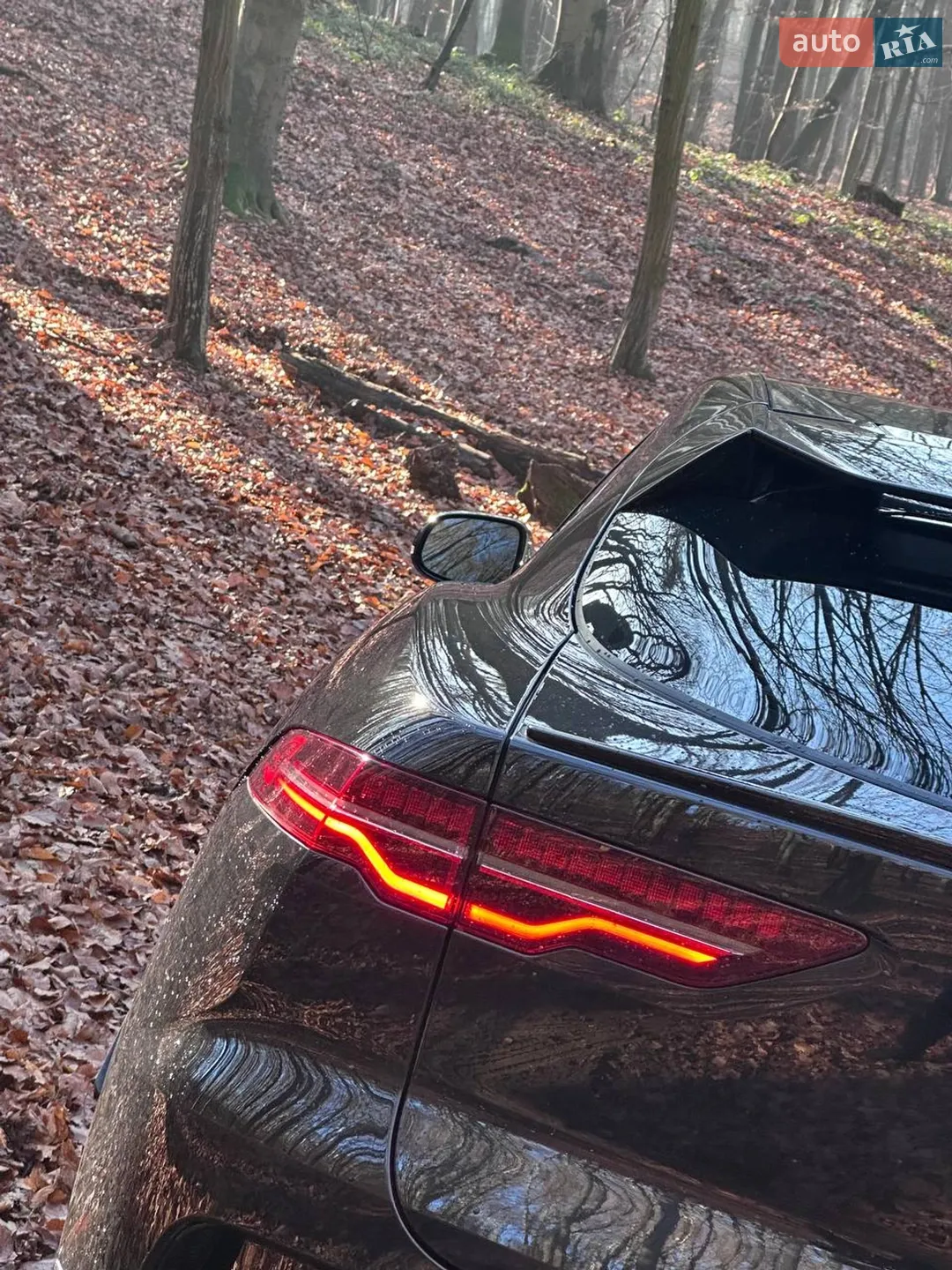 2019 Jaguar I-Pace - мініатюра 6