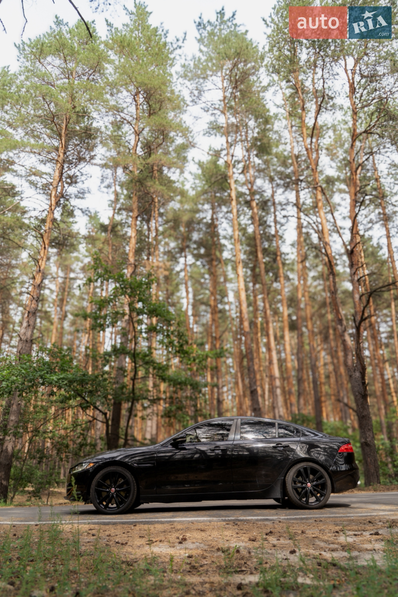 2016 Jaguar XE - мініатюра 7