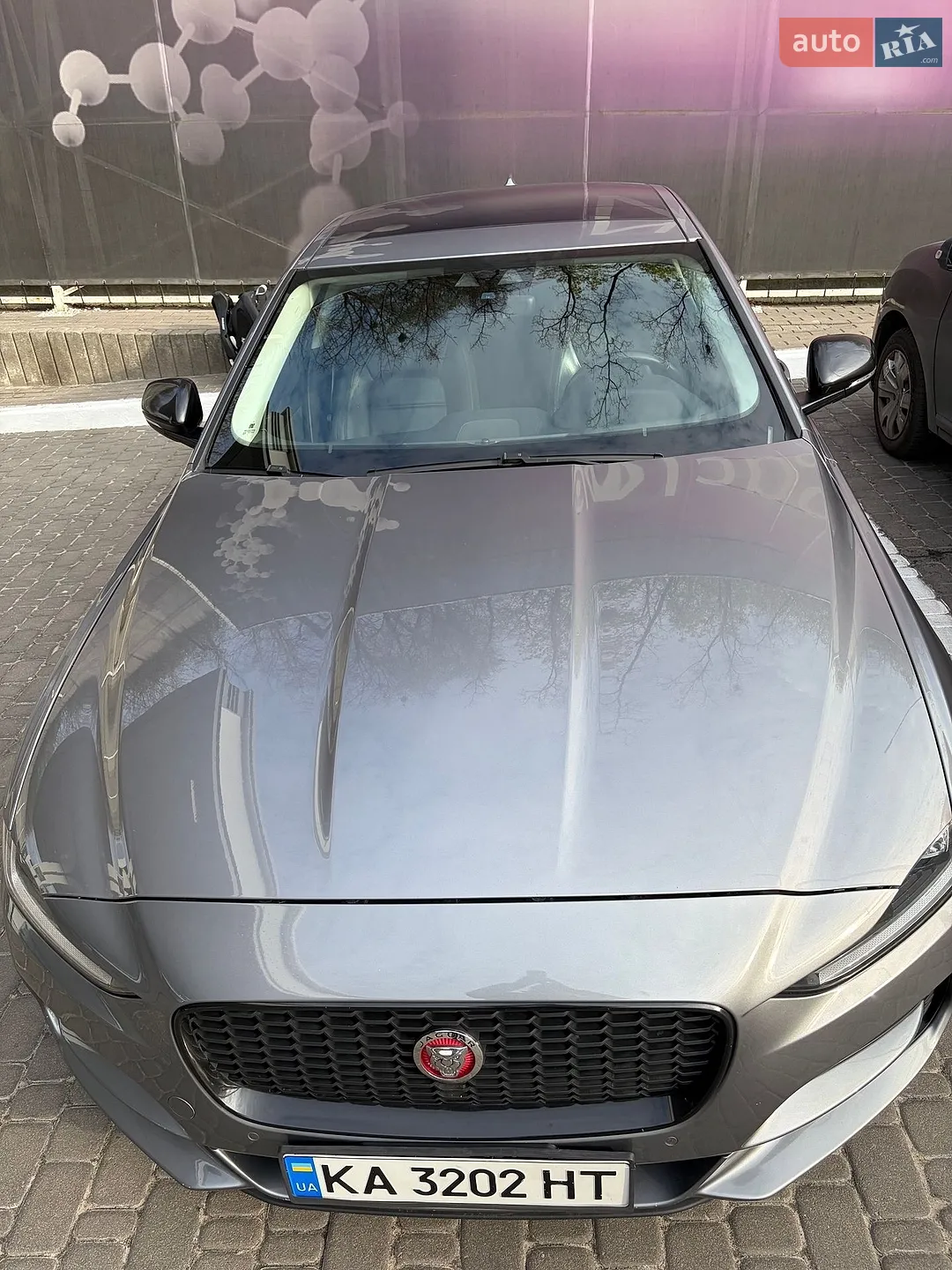 2019 Jaguar XE - мініатюра 38