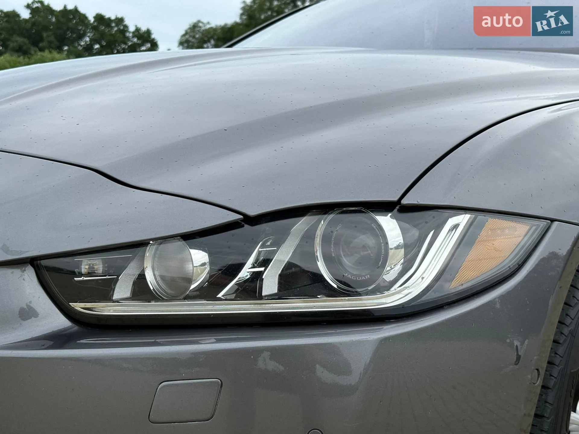 2016 Jaguar XE - мініатюра 10