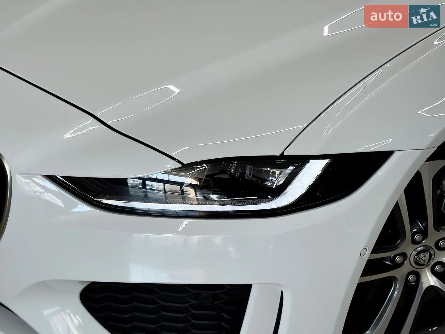 2024 Jaguar XE - мініатюра 3