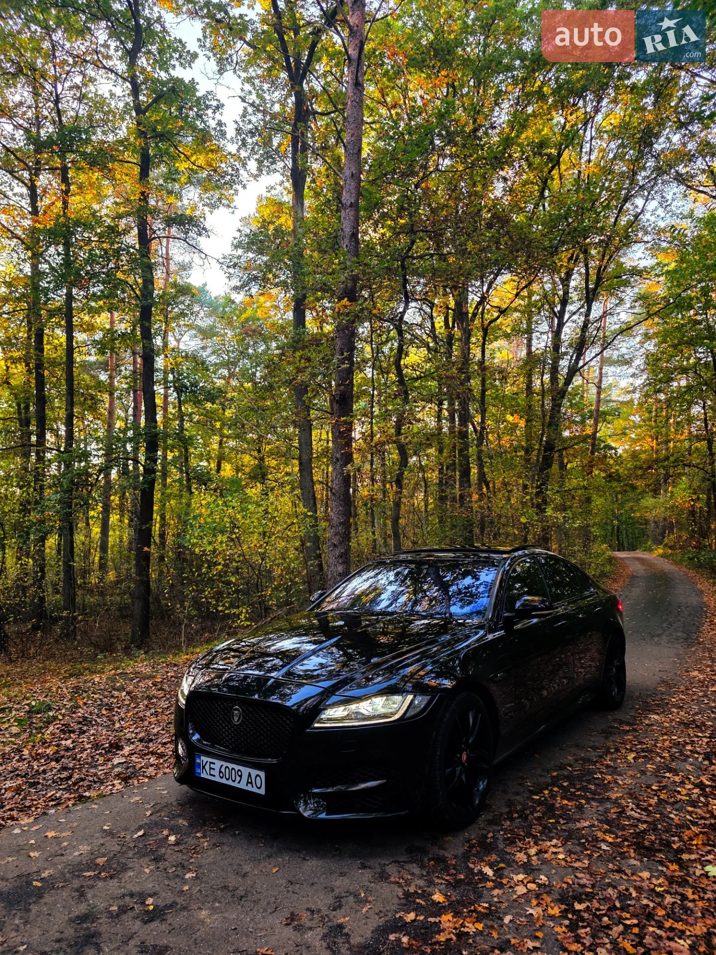 2016 Jaguar XF - мініатюра 5