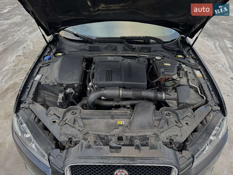 Седан Jaguar XF 2014 в Киеве