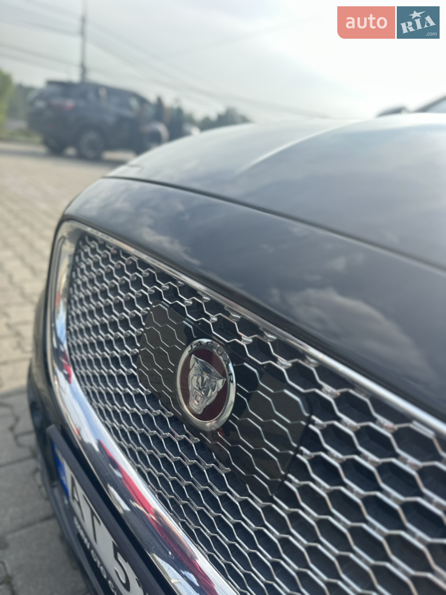 2014 Jaguar XJ - мініатюра 5