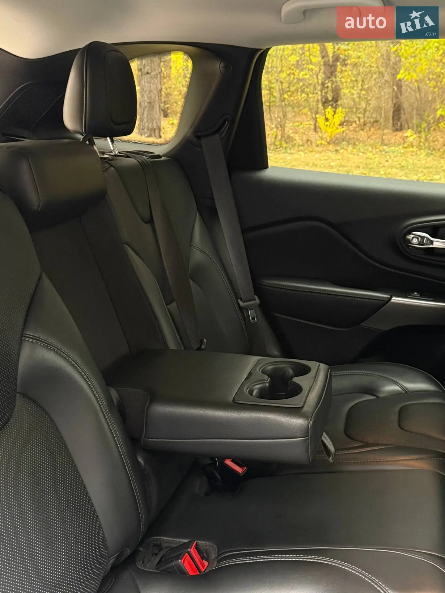 2019 Jeep Cherokee - мініатюра 39